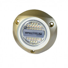 LUMITEC Seablaze Spectrum - Complete RGBV Light Ouput