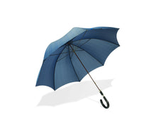 Blue Umbrella