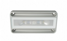 LUMITEC Nevis LT Utility Light White Output